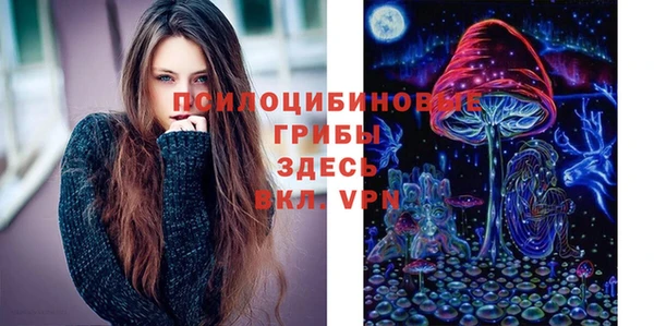 соль ск Остров