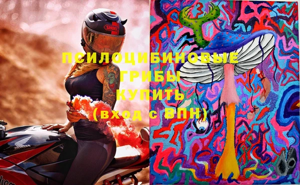 бошки Нязепетровск