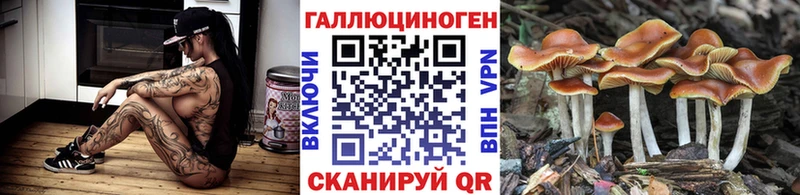 Псилоцибиновые грибы мухоморы  мориарти клад  Кондрово 